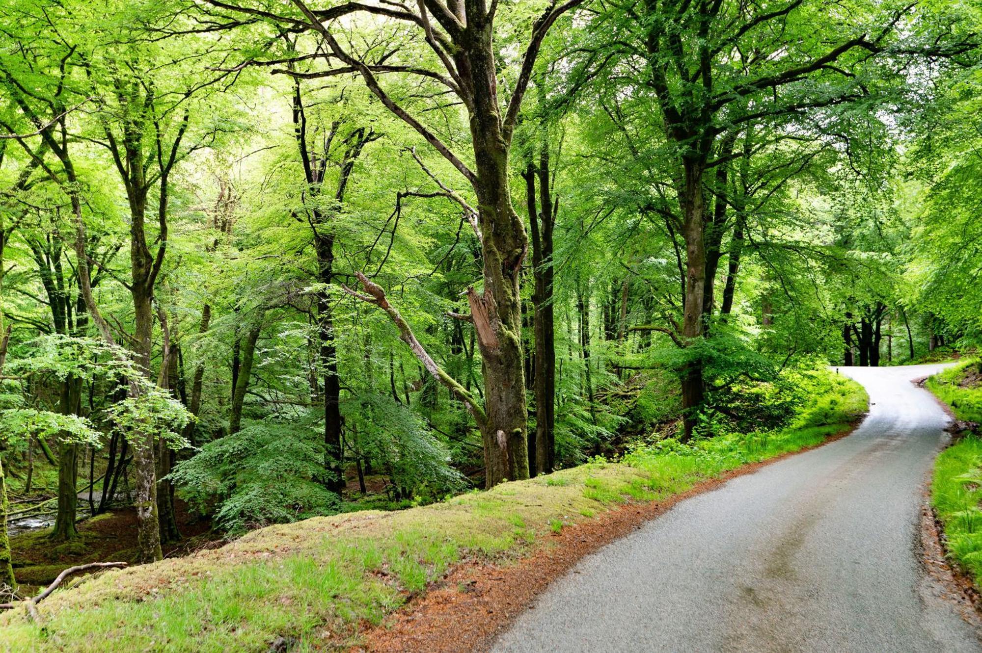 Vila Finest Retreats - Hermon Bach Dolgellau Exteriér fotografie