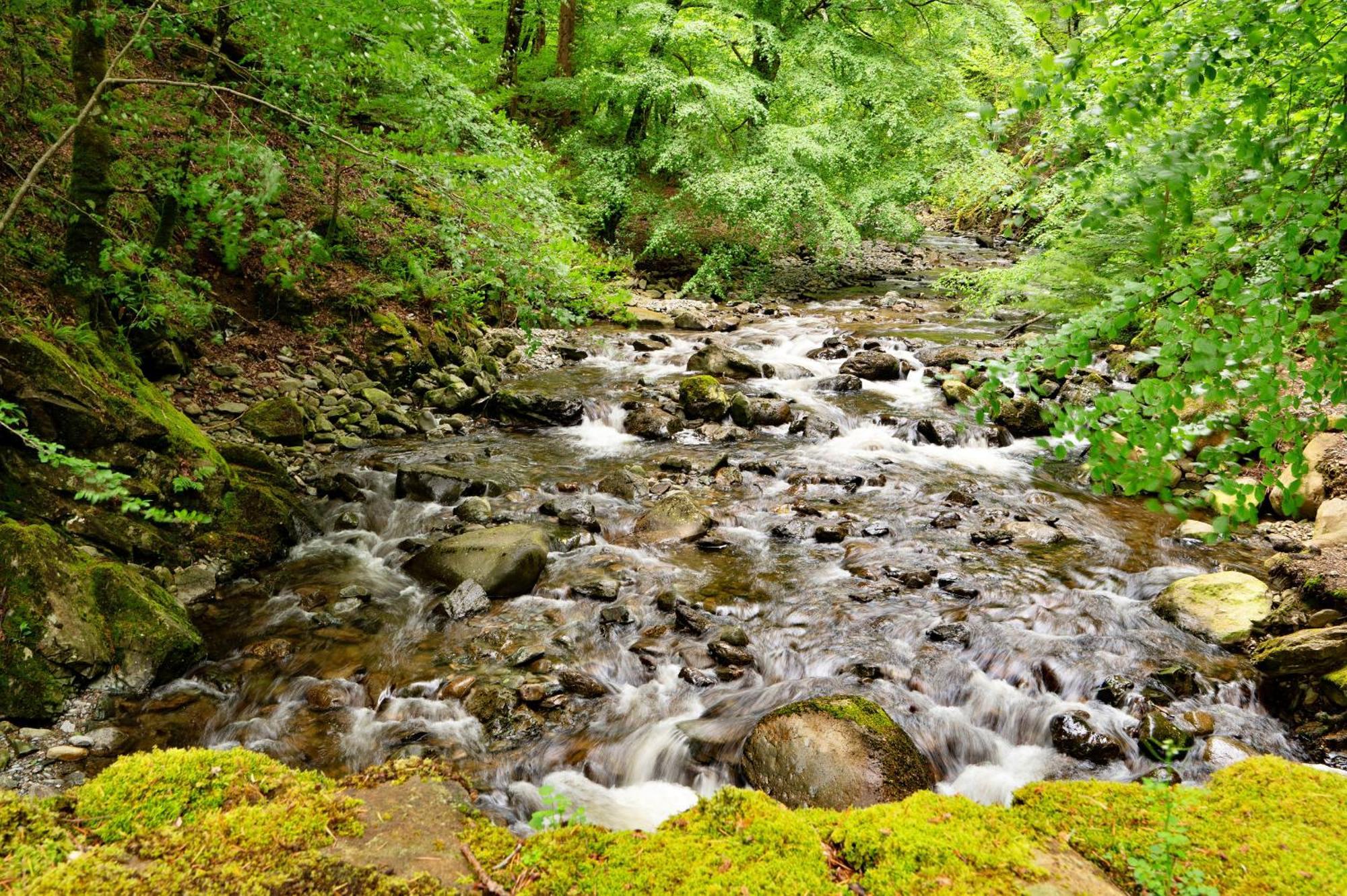 Vila Finest Retreats - Hermon Bach Dolgellau Exteriér fotografie