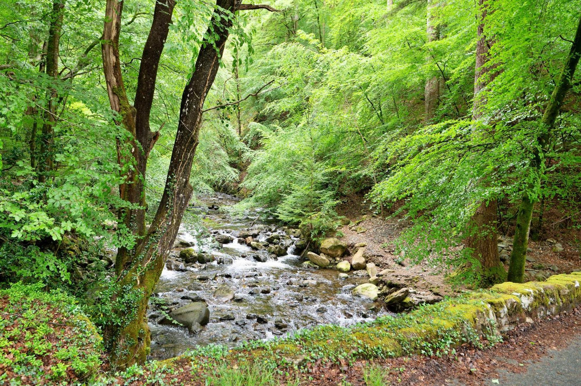 Vila Finest Retreats - Hermon Bach Dolgellau Exteriér fotografie